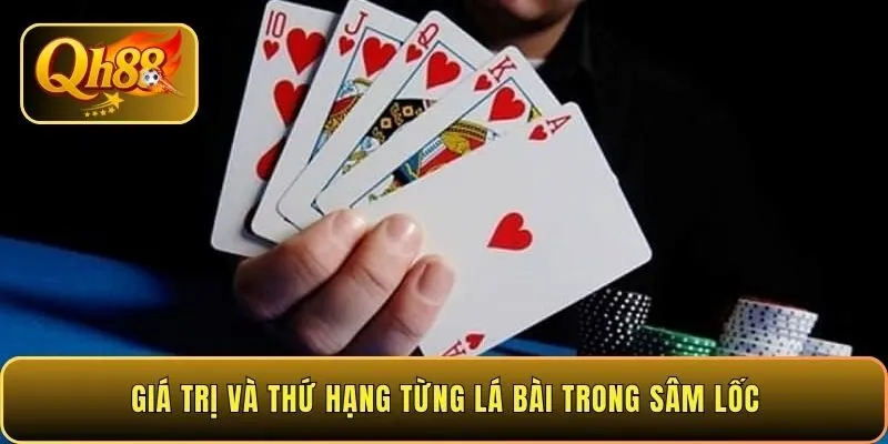 gia-tri-va-thu-hang-tung-la-bai-trong-sam-loc