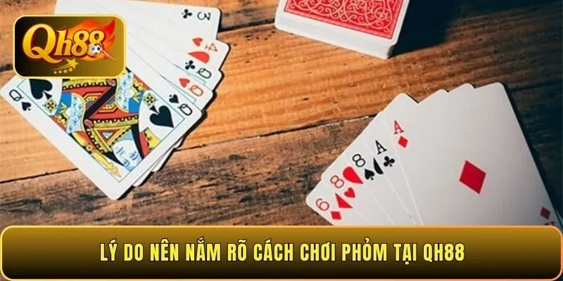 ly-do-nen-nam-ro-cach-choi-phom-tai-qh88